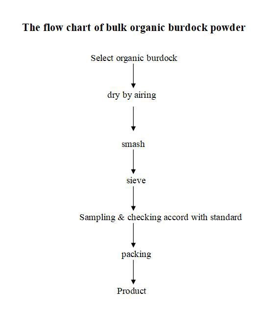 flow chart of Organic burdock powder