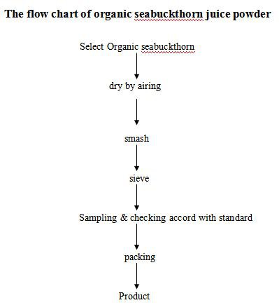 product-399-435 flow chart of organic seabuckthorn juice powder