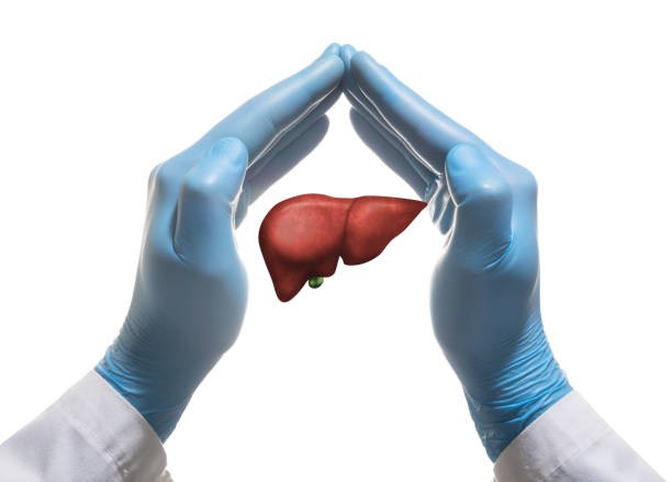 liver-protective liver-protective