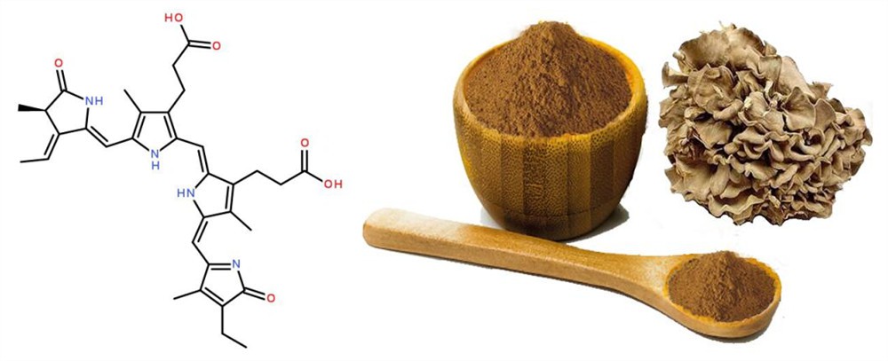 Organic Maitake Extract Powder