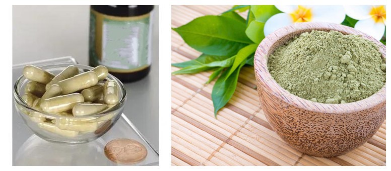 Magnolia Officinalis Extract