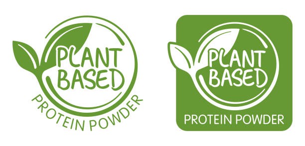 plant-based protein powder plant-based protein powder