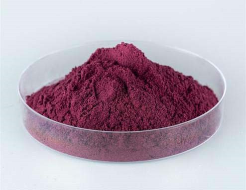 freeze dried blackcurrant powder1