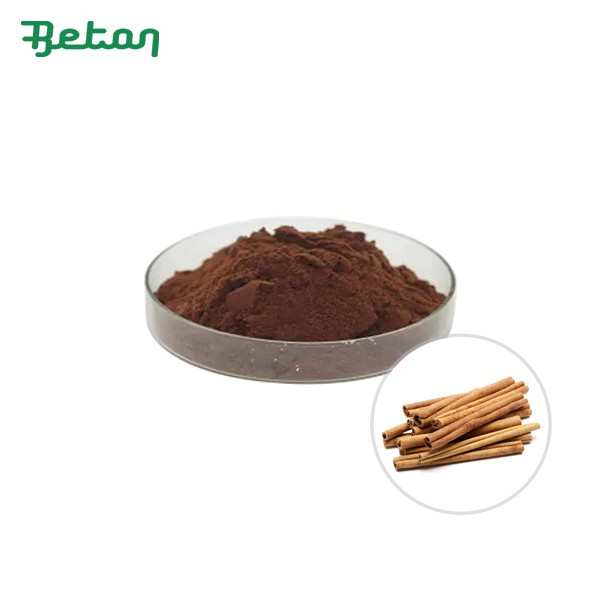 Органична канела на прах