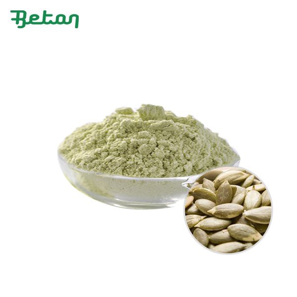 Organic Pumpkin Protein Powder