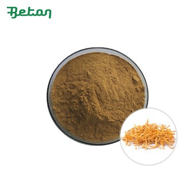 Органични кордицепс гъби на прах