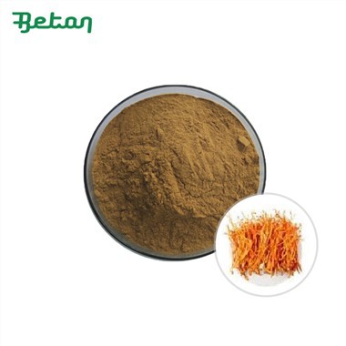 Органичен екстракт от Cordyceps Sinensis