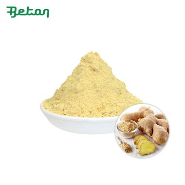 Органичен екстракт от корен на джинджифил на прах