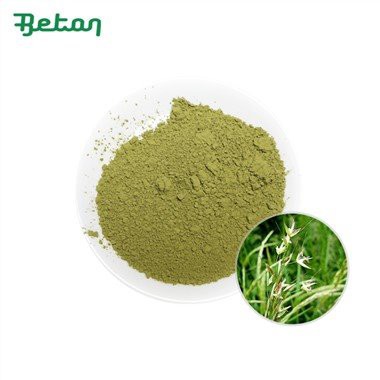 Овесена трева на прах