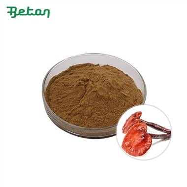 Органичен екстракт от гъби Рейши на прах