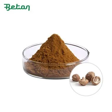 Органичен екстракт от гъби Шийтаке на прах