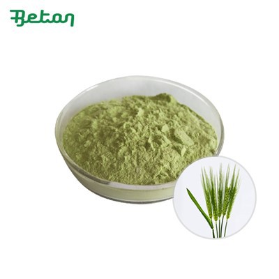 Органична ечемична трева на прах