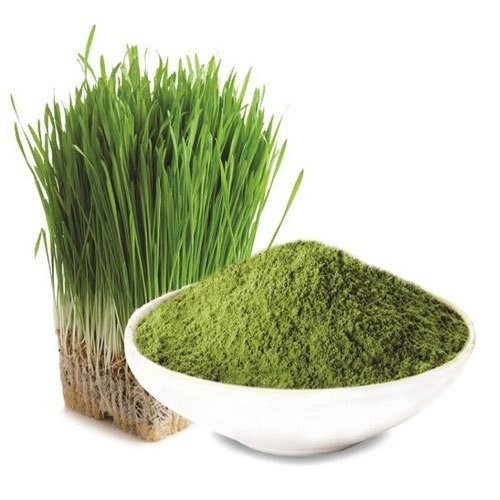 Oat Grass Powder Oat Grass Powder